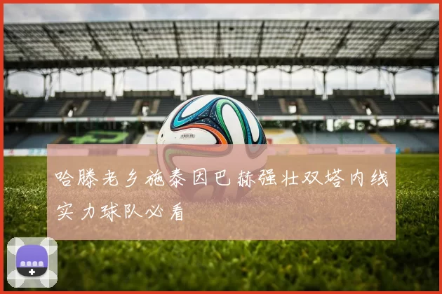 哈滕老乡施泰因巴赫强壮双塔内线实力球队必看